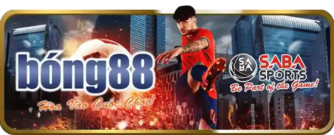 Cá cược Đá Gà